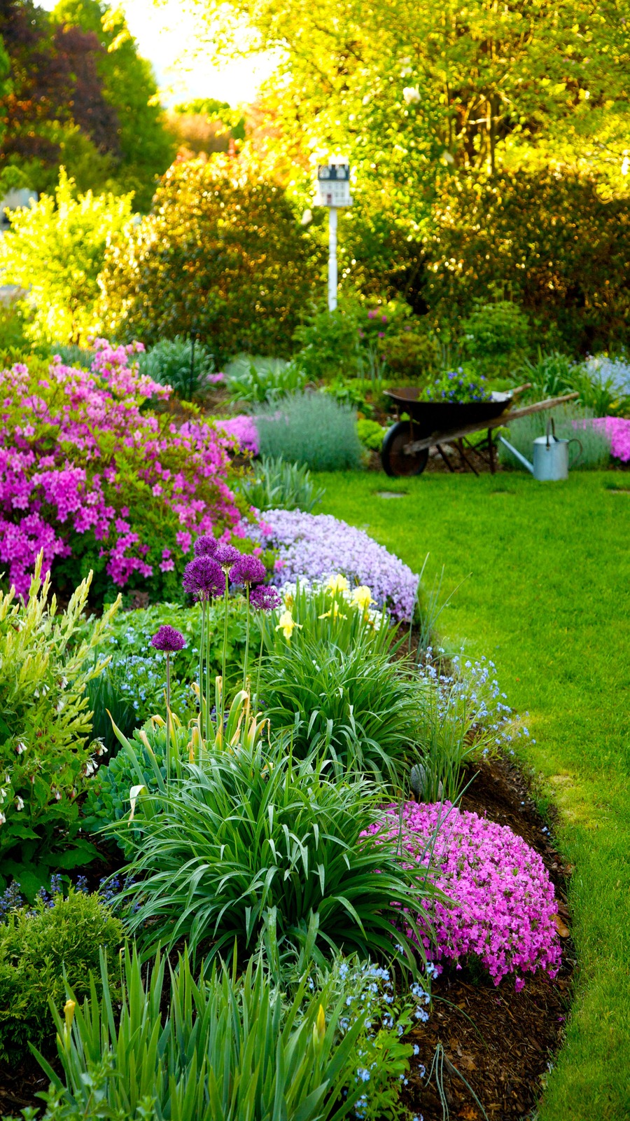 Mendon, MA Backyard Landscape Design