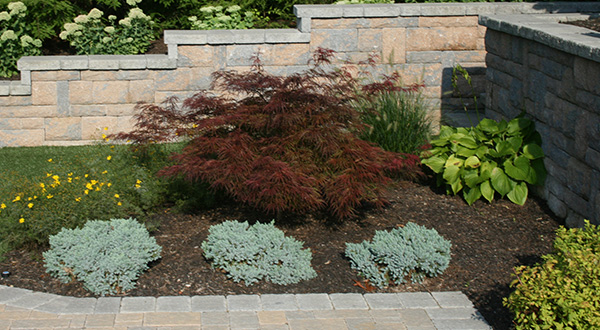 Massachusetts Landscaping Contractor